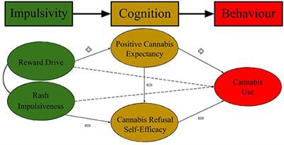 Precision Mental Health Care for Cannabis Use Disorder: Utility of a bioSocial Cognitive Theory to Inform Treatment